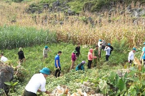 Khởi sắc ở huyện nghèo Yên Minh