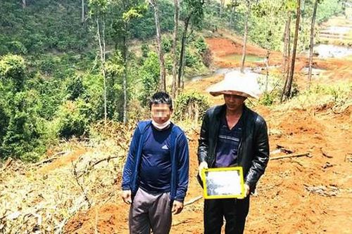 Vụ triệt hạ hàng trăm cây rừng, chôn lấp phi tang: Bắt kẻ chủ mưu