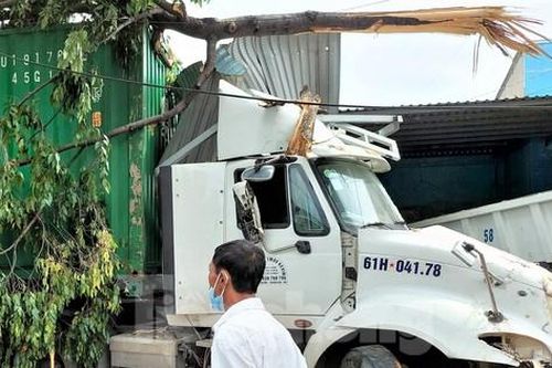Xe container tông đổ trụ đèn, cây xanh rồi lao vào nhà dân
