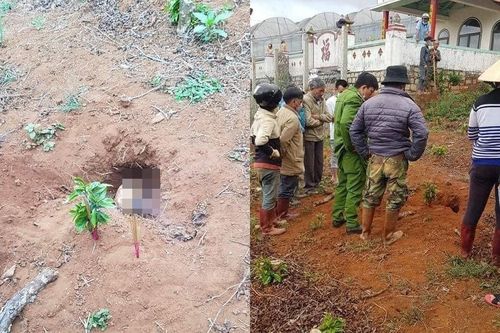Nghi án chồng sát hại vợ, chôn xác phi tang trong vườn