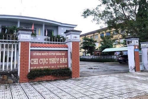 Khởi tố nguyên Chi cục trưởng Chi cục thủy sản Quảng Nam