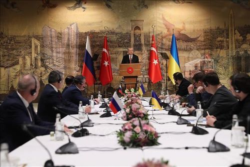 Tổng thống Ukraine khẳng định quyết tâm hòa đàm với Nga