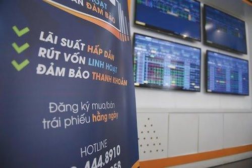 Chuyên gia ADB: Nhiều người đầu tư trái phiếu theo kiểu 'bầy đàn'