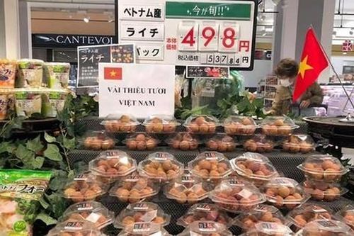 Làm sao đẩy mạnh xuất khẩu nông sản sang thị trường Nhật Bản
