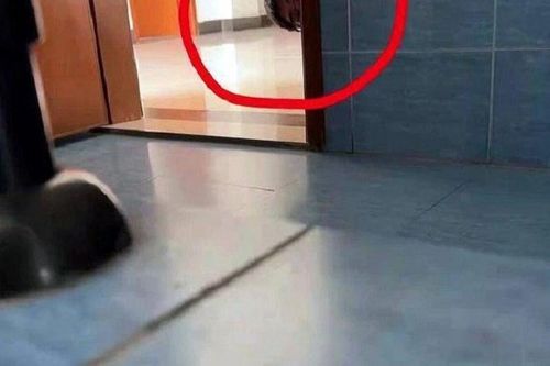 Có cảm giác bị nhìn lén khi đi vệ sinh, nữ sinh đưa điện thoại chụp ảnh liền phát hiện khoảnh khắc ám ảnh