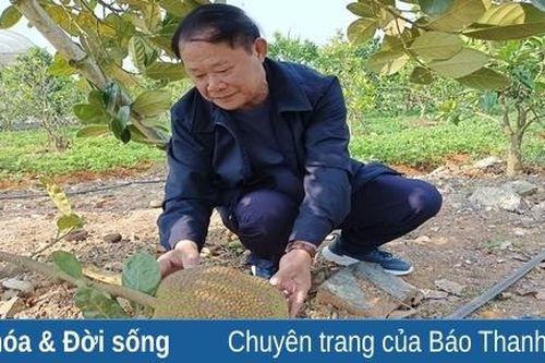 Hợp tác xã Chung Thủy phát triển mô hình nông nghiệp công nghệ cao