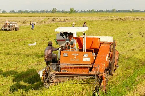 Tri Tôn nâng cao giá trị sản xuất nhờ hợp tác xã