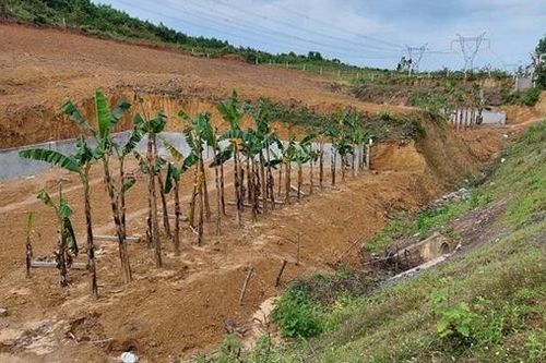 Xử lý nghiêm các trường hợp 'đi tắt đón đầu' chờ đền bù đường cao tốc