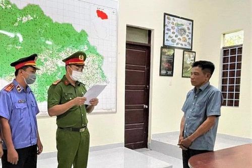 Nhận hối lộ, làm ngơ cho 'lâm tặc' phá rừng, 2 cán bộ kiểm lâm lĩnh án