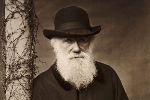 Charles Darwin từng phụ sự kỳ vọng của cha mẹ