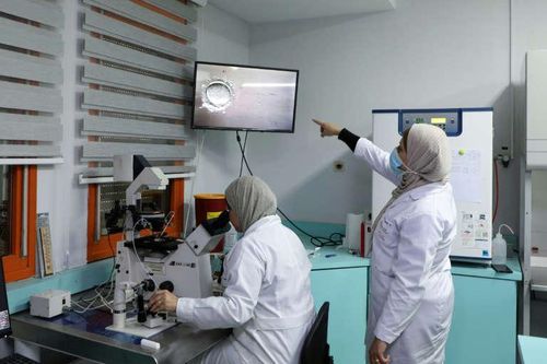 Lý do người Israel đổ đến Bờ Tây để chọn giới tính thai nhi
