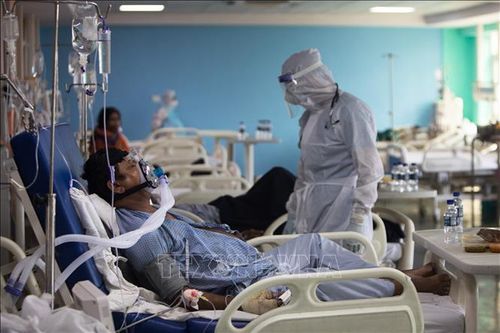 Mối liên quan giữa COVID-19 và khả năng sinh sản của nam giới