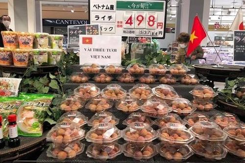 Tìm đường xuất khẩu sang Nhật Bản: Doanh nghiệp cần bỏ tư duy sản xuất manh mún, giữ uy tín để đi đường dài