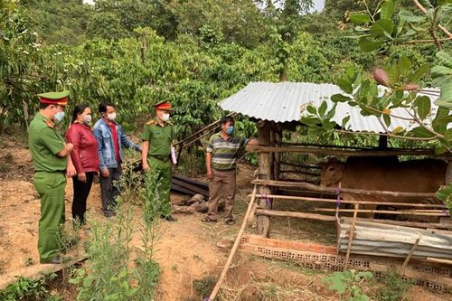 Đắk Nông: Hiệu quả từ mô hình '5+1 về quản lý, giáo dục, giúp đỡ người chấp hành xong án phạt tù tái hòa nhập cộng đồng