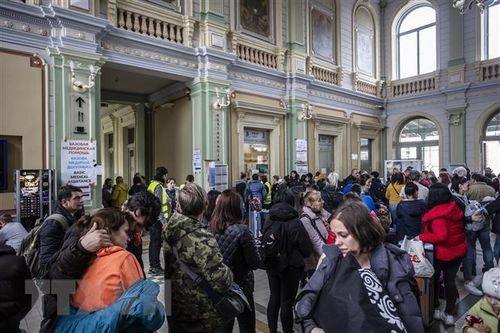 Doanh nghiệp, tổ chức Nhật Bản tham gia hỗ trợ người Ukraine sơ tán
