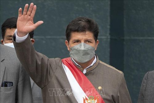 Quốc hội Peru kêu gọi Tổng thống Pedro Castillo từ chức