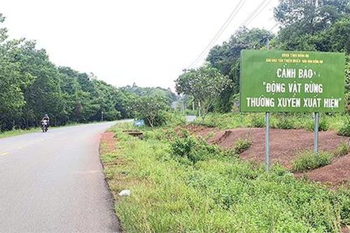 Nhiều lo ngại ảnh hưởng đến Khu Dự trữ sinh quyển thế giới khi xây cầu Mã Đà
