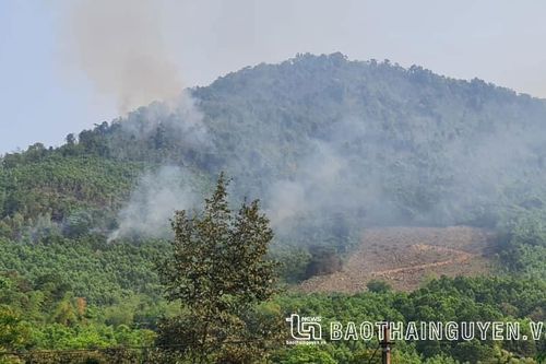 Đại Từ: Khống chế thành công đám cháy hơn 1ha rừng