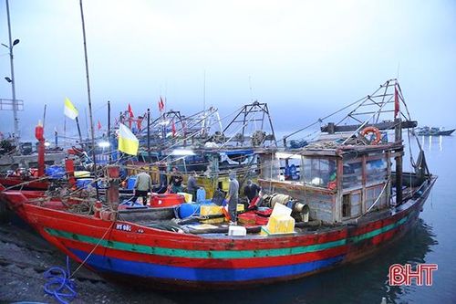Ngư dân Hà Tĩnh giong thuyền, vượt sóng khai thác vụ cá nam