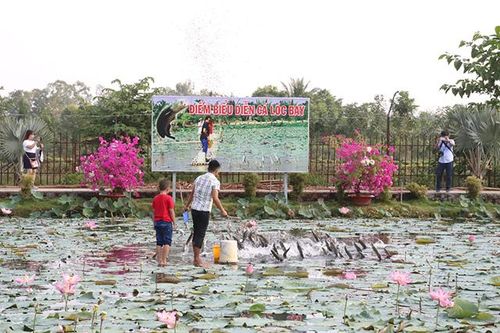 Các chính sách hỗ trợ đầu tư phát triển du lịch tại Đồng Tháp
