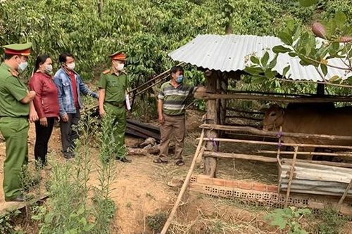 Hiệu quả từ mô hình '5+1'