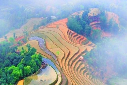 Du lịch Hoàng Su Phì có gì thú vị?