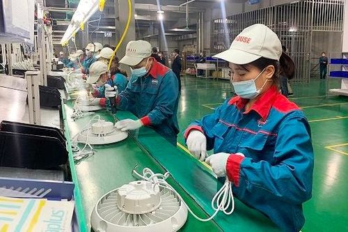 IFC sẽ hỗ trợ Việt Nam thúc đẩy phát triển khu vực kinh tế tư nhân