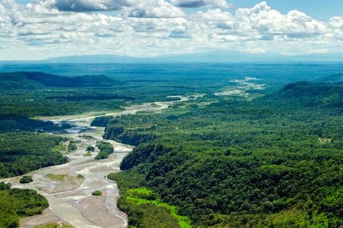 Quý I/2022, rừng Amazon bị tàn phá cao nhất trong 6 năm