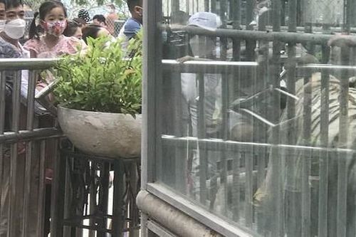 Nghỉ lễ, công viên Thủ Lệ đông nghẹt người sau thời gian dài vắng vẻ