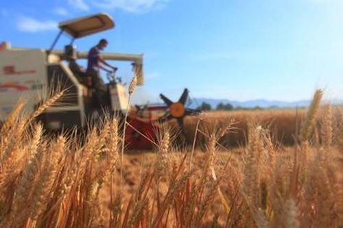 Cuba - Mỹ tiến hành Hội nghị nông nghiệp lần 3