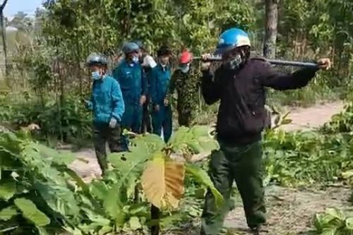Nhân viên bảo vệ rừng bị dọa 'giết cả nhà'