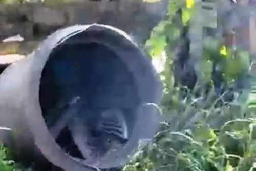 Nam Định: Nổ lò hơi làm trắng rau câu, 1 phụ nữ tử vong