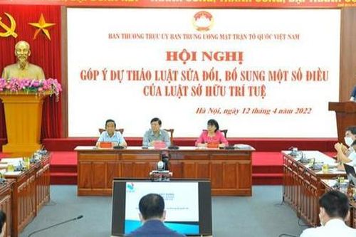 'Phải có Tòa án về Sở hữu trí tuệ'