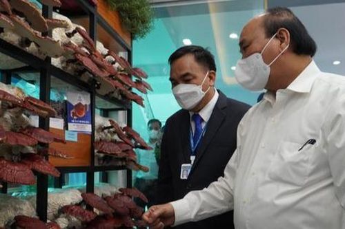 Người dân mong chờ những mô hình, ứng dụng mới trong nông nghiệp