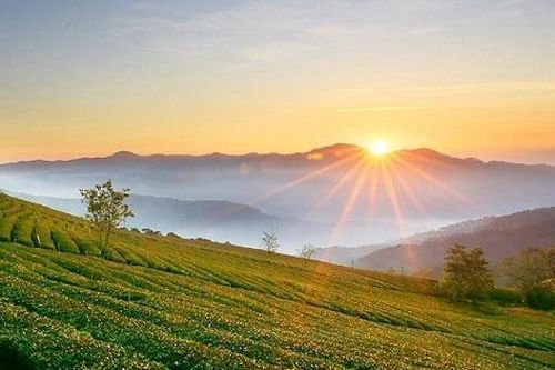 Đà Lạt sắp có khu đô thị sinh thái thông minh gần 1.000 ha
