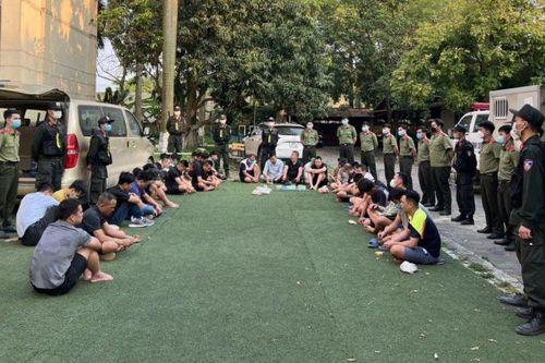 Triệt phá sới đá gà ăn tiền quy mô lớn nằm trong trang trại
