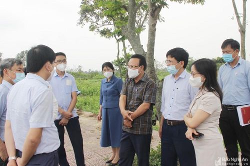 Hội đồng nhân dân tỉnh làm việc với thị xã Cửa Lò về các dự án chậm tiến độ