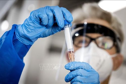 Hà Lan ra quy định mới về xét nghiệm COVID-19