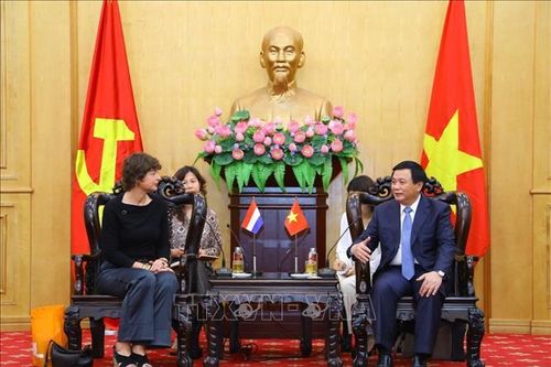 Tăng cường hợp tác giữa Học viện Chính trị quốc gia Hồ Chí Minh với Hà Lan, Mozambique