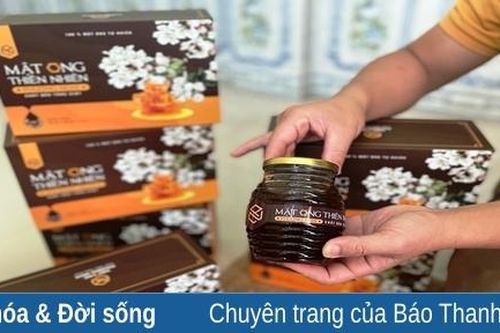 Mùa mật ngọt ở Phượng Nghi