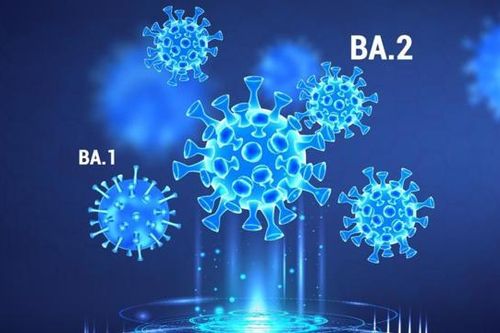 WHO bổ sung thêm hai biến thể phụ mới của Omicron vào danh sách cần theo dõi