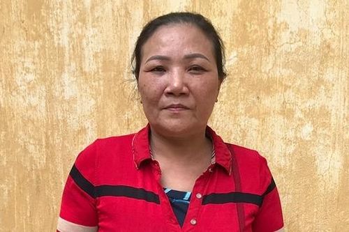 Vết trượt dài của 'nữ quái' U60 có 6 tiền án
