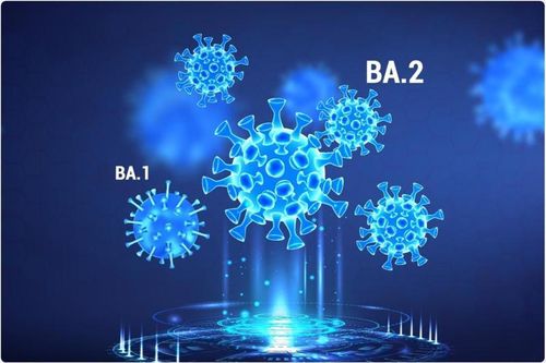 Việt Nam chưa ghi nhận biến thể phụ BA.4 và BA.5 của Omicron