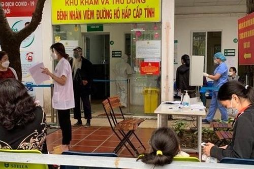 Loạn thị trường thuốc bổ hậu COVID-19