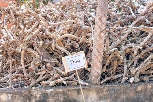 Đắk Lắk: Làm rõ việc 'cò' đất cắm bảng quy hoạch giả để trục lợi