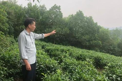 Vướng mắc khi triển khai KDL nghỉ dưỡng hồ Núi Cốc: Thành phố Thái Nguyên nói gì?