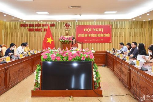 Đoàn đại biểu Quốc hội tỉnh Nghệ An lấy ý kiến góp ý dự thảo Luật Điện ảnh (sửa đổi)