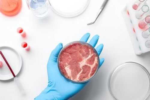 Israel phát triển công nghệ thúc đẩy sản xuất thịt nhân tạo quy mô lớn