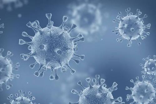 Phát hiện 5.500 loài virus mới trong đại dương