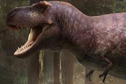 Lý do rùng rợn khiến 'tay' của bạo chúa T-rex hầu như biến mất